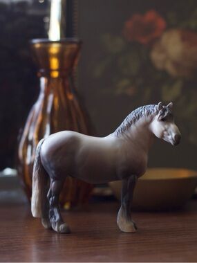 Breyer Giorgio